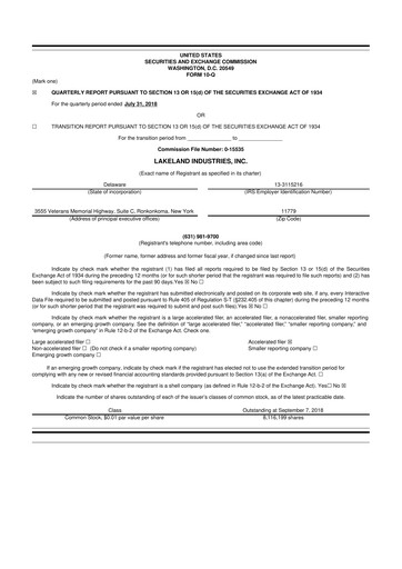 Thumbnail Lakeland Industries
 10-Q Quarterly Report FY2019 