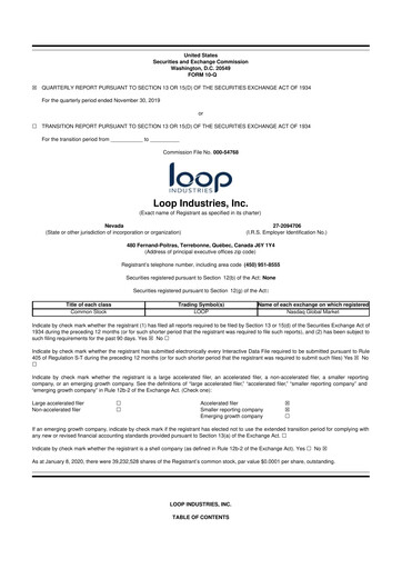 Miniature Loop Industries
 10-Q Rapport trimestriel  