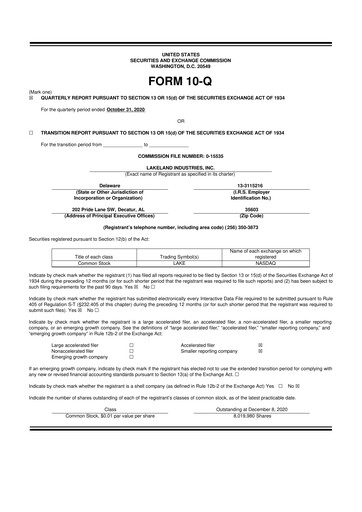 Thumbnail Lakeland Industries
 10-Q Quarterly Report FY2020 