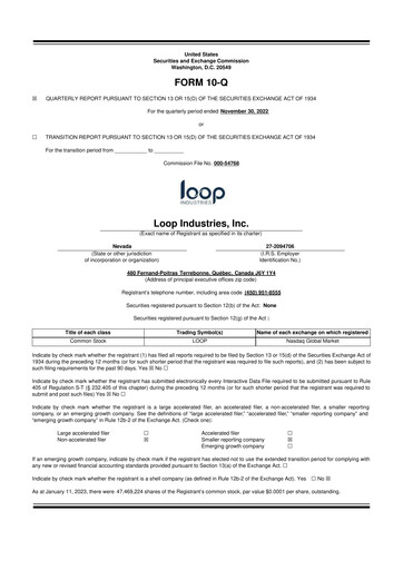 Miniature Loop Industries
 10-Q Rapport trimestriel  