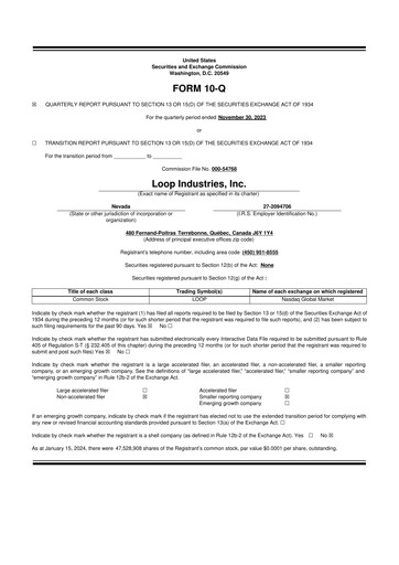Miniature Loop Industries
 10-Q Rapport trimestriel  