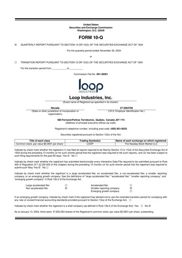 Miniature Loop Industries
 10-Q Rapport trimestriel  