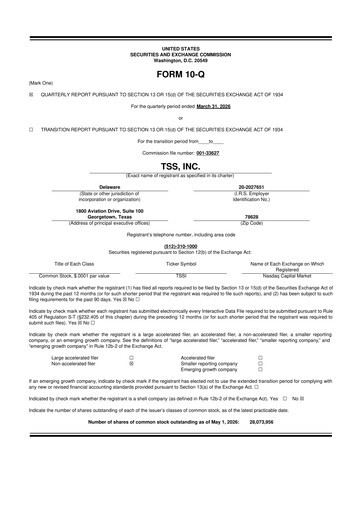 Thumbnail TSS, Inc. 10-Q Quarterly Report FY 