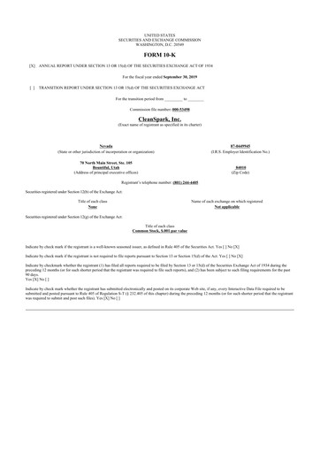 Miniature CleanSpark 10-K Rapport annuel 2019