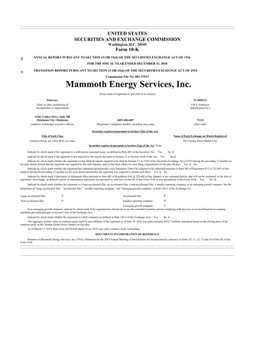 Miniature Mammoth Energy Services 10-K Rapport annuel 2018