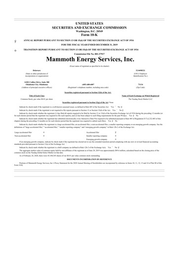 Miniature Mammoth Energy Services 10-K Rapport annuel 2019