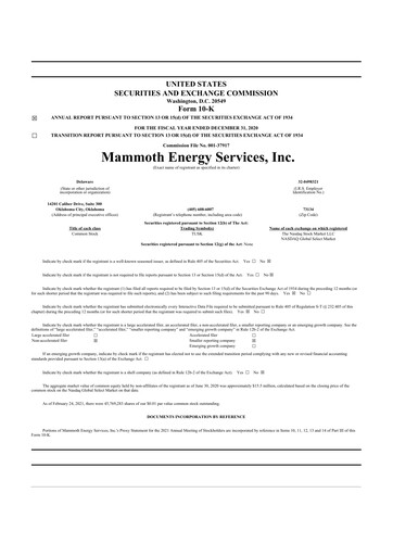 Miniature Mammoth Energy Services 10-K Rapport annuel 2020