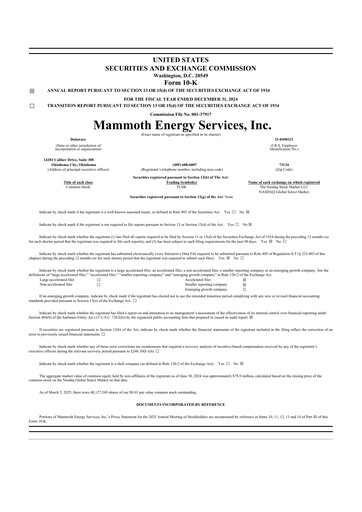 Miniature Mammoth Energy Services 10-K Rapport annuel 2024