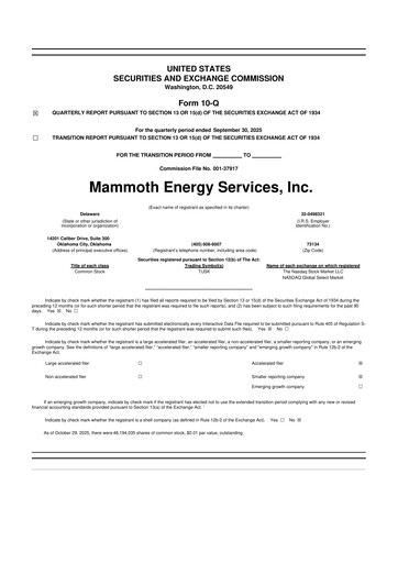 Miniature Mammoth Energy Services 10-Q Rapport trimestriel 2025 