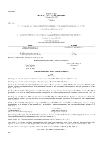 Thumbnail Focus Universal 10-K Annual Report 2019