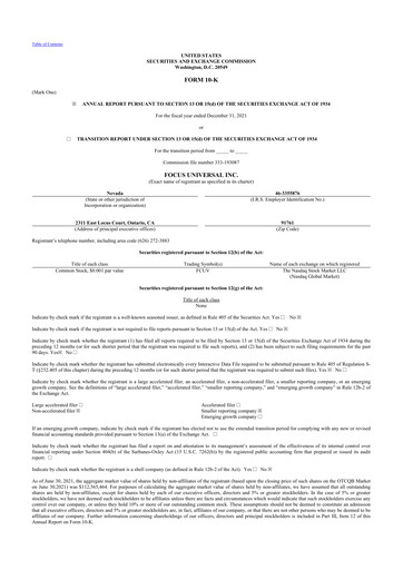 Thumbnail Focus Universal 10-K Annual Report 2021