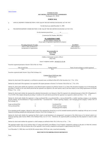 Thumbnail CS Diagnostics 10-K Annual Report 