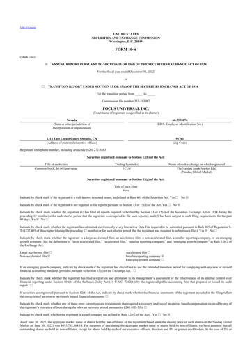 Thumbnail Focus Universal 10-K Annual Report 2022