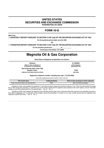 Thumbnail Magnolia Oil & Gas 10-Q Quarterly Report FY2020 