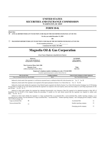 Thumbnail Magnolia Oil & Gas 10-K Annual Report 2020