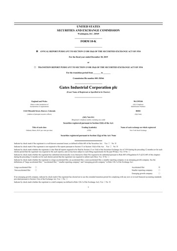 Thumbnail Gates Industrial Corp 10-K Annual Report 2019