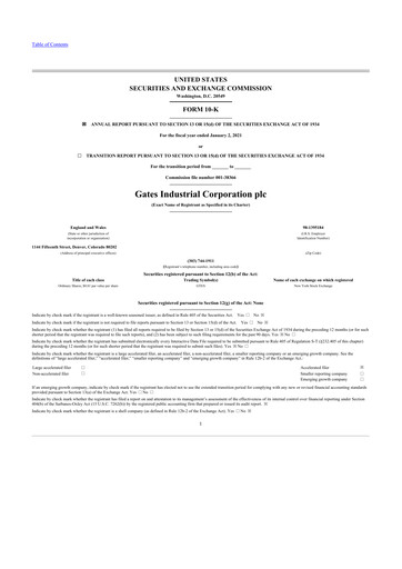 Thumbnail Gates Industrial Corp 10-K Annual Report 2020