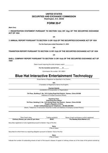 Thumbnail Blue Hat Interactive Entertainment Technology 20-F Annual Report 2024
