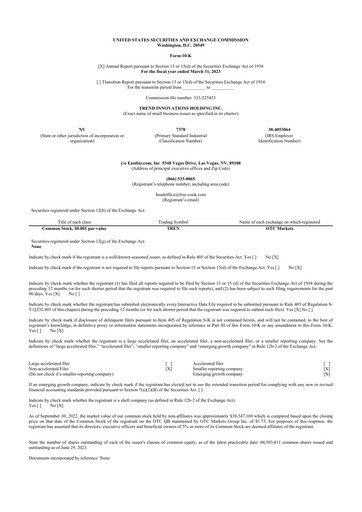 Miniature Avant Technologies Inc. 10-K Rapport annuel 