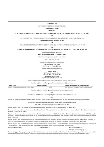 Thumbnail Brookfield Renewable 20-F Annual Report 2024