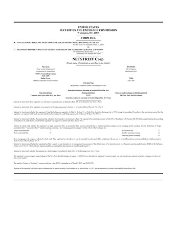 Thumbnail Netstreit 10-K Annual Report 2020