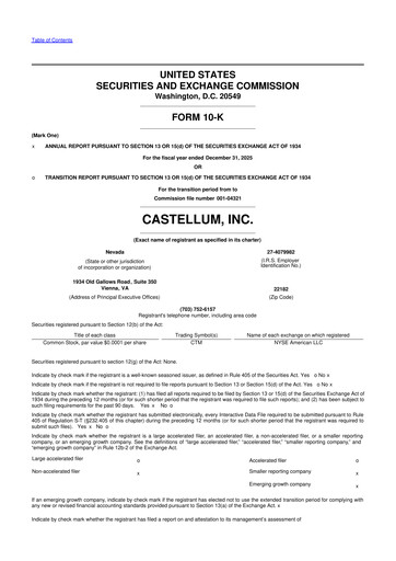 Miniature Castellum 10-K Rapport annuel 2025