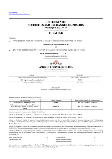 Miniature Amprius Technologies 10-K Rapport annuel 2024