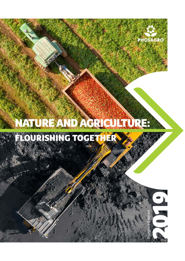 Thumbnail PhosAgro
 Annual Report 2019
