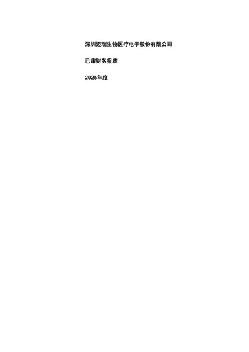 Thumbnail Mindray Financial Statement 2025