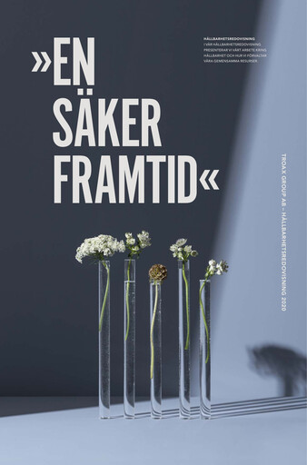 Thumbnail Troax Group AB Sustainability Report 2020