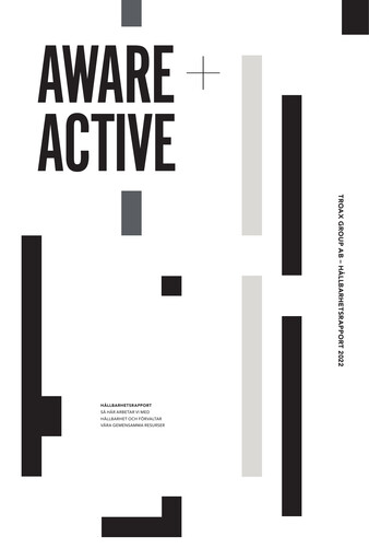 Thumbnail Troax Group AB Sustainability Report 2022