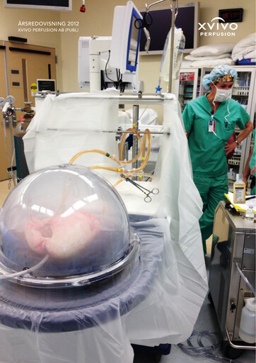 Vorschaubild Xvivo Perfusion AB Jahresbericht 2012