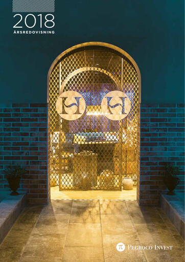 Thumbnail Navigo Invest Annual Report 2018