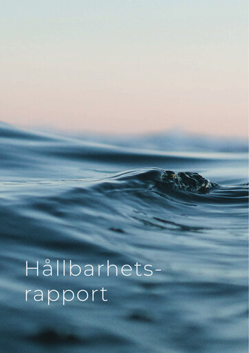 Thumbnail MedCap Sustainability Report 2021