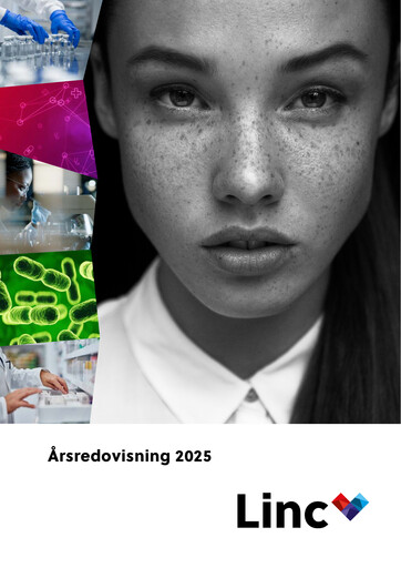 Miniature Linc AB Rapport annuel 2025