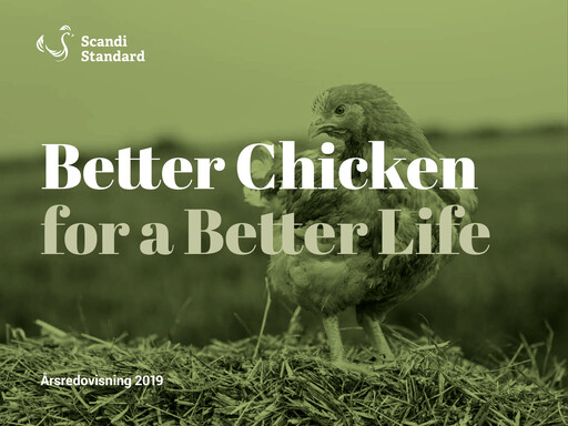 Thumbnail Scandi Standard AB Annual Report 2019