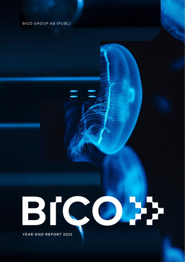 Vorschaubild BICO Group Finanzbericht 2025