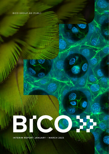 Vorschaubild BICO Group Quartalsbericht 2023-q1