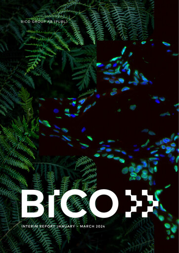 Vorschaubild BICO Group Quartalsbericht 2024-q1
