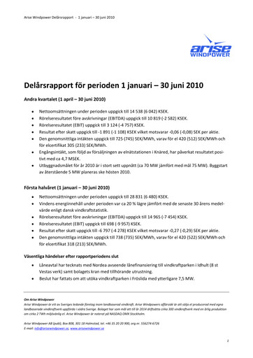 Miniature Arise AB Rapport semestriel 2010-h1