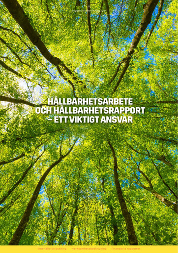 Thumbnail Byggmax Group Sustainability Report 2019