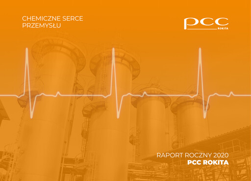 Thumbnail PCC Rokita Annual Report 2020