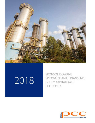 Thumbnail PCC Rokita Financial Statement 2018