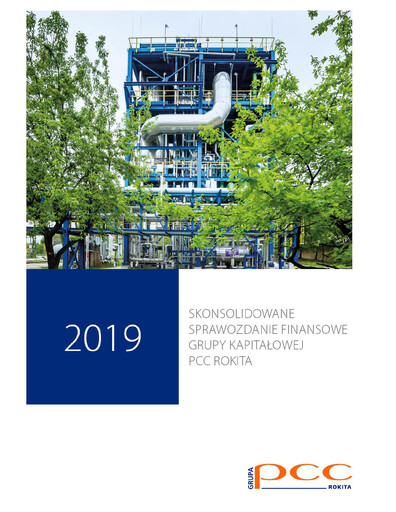 Thumbnail PCC Rokita Financial Statement 2019