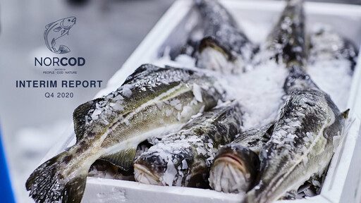 Thumbnail Norcod AS Quarterly Report 2020-q4