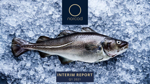 Thumbnail Norcod AS Quarterly Report 2021-q1