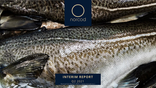 Thumbnail Norcod AS Quarterly Report 2021-q2
