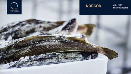 Thumbnail Norcod AS Quarterly Report 2023-q1