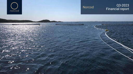 Thumbnail Norcod AS Quarterly Report 2023-q3