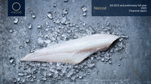 Thumbnail Norcod AS Quarterly Report 2023-q4